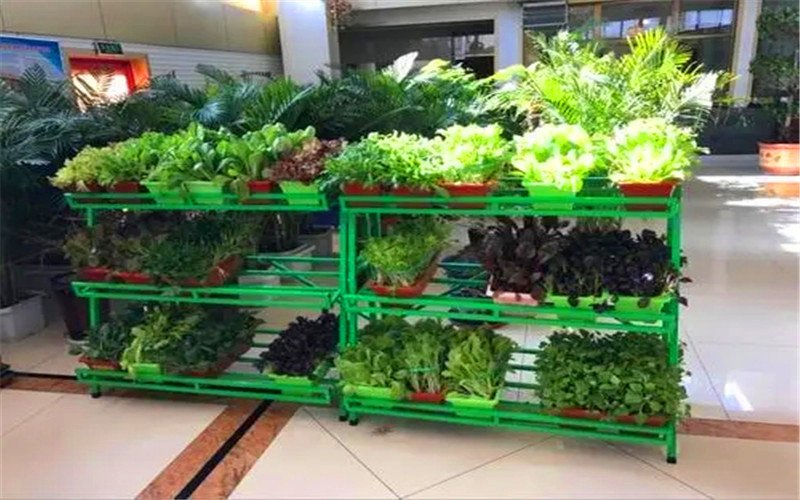 小型工厂有哪些项目投资少见效快,作坊式小型工厂适合做哪些