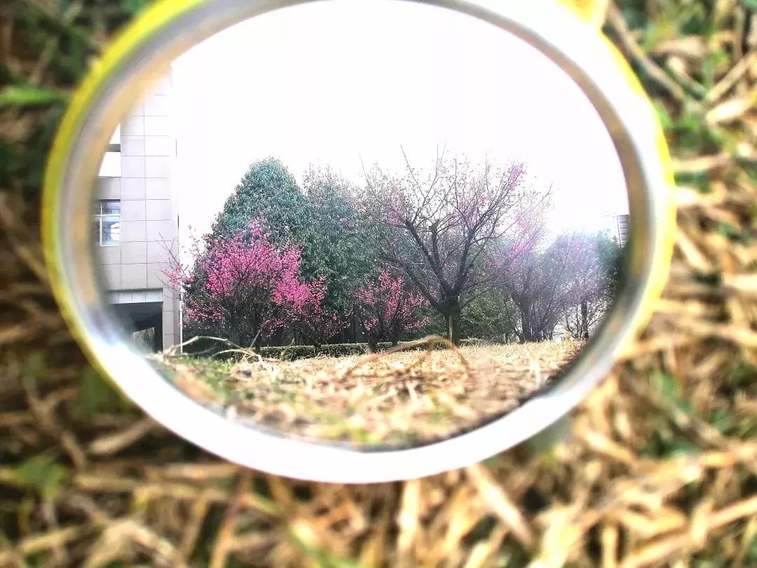 镜中的武工院，是最美？妙不可言？