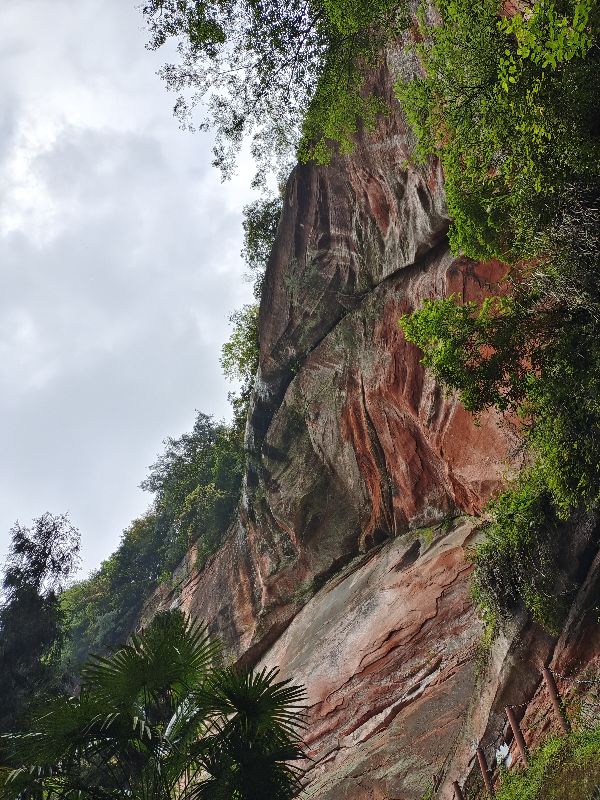 大型氧吧机,森林公园吸氧