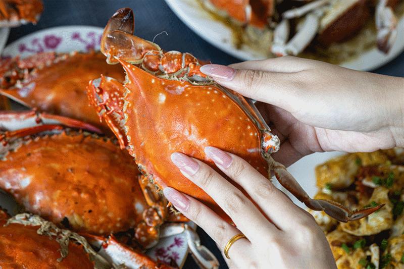 渔都舟山群岛的海鲜果然名不虚传,舟山渔港最好吃的海鲜