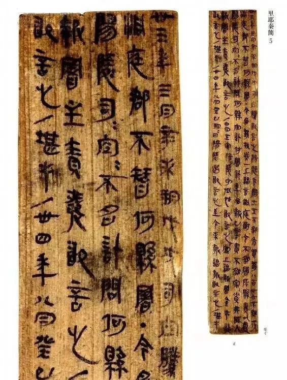 里耶秦简完整视频,里耶秦简