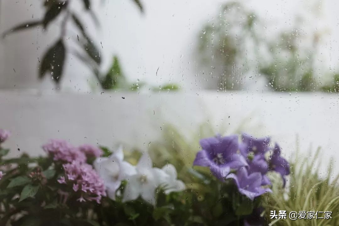 她买下32㎡上海老旧学区房，为女儿打造小桃园，还有超舒适大庭院