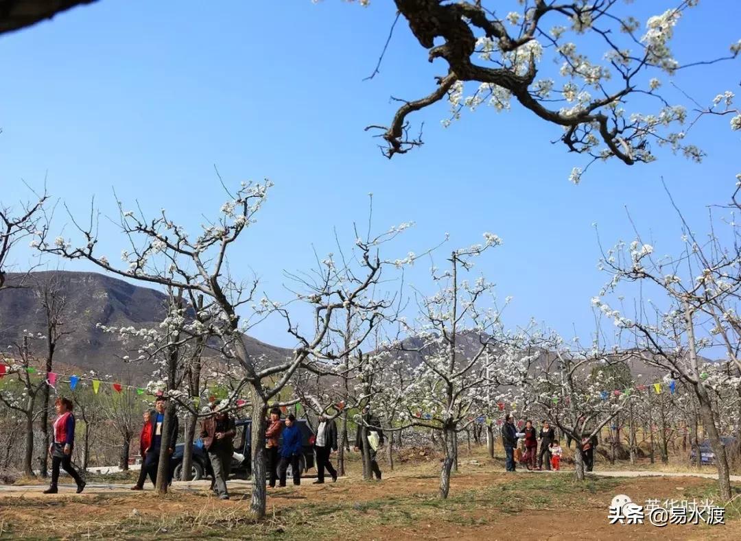 易县好看的视频,易县哪儿的好看
