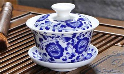 壁虎为什么是不死之身,壁虎守宫有毒吗