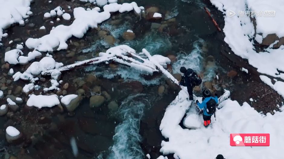 治安最好的欧洲国家,欧洲哪些国家治安好