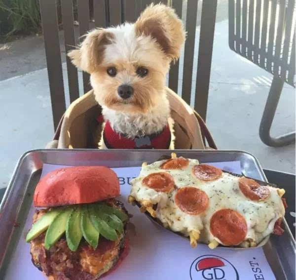 健身的人为什么穷,为什么说健身的人活不长