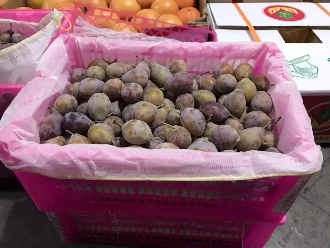 进口的水果有哪些,进口水果价格高的解决办法