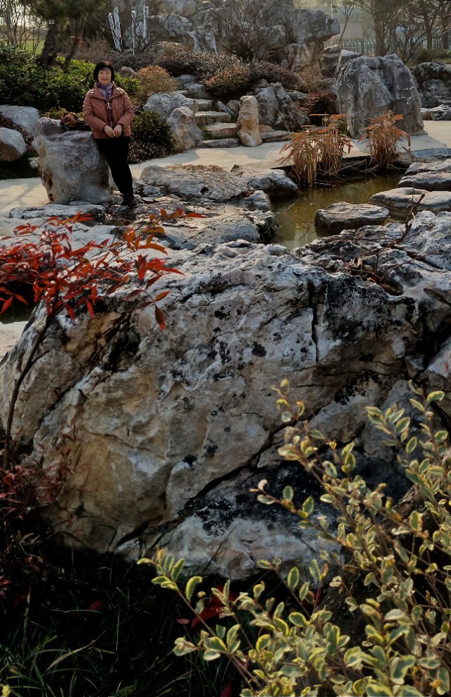 仙林湖游玩,南京仙林湖游玩攻略