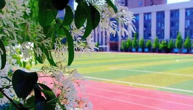 八中高中全景图,2019高考八中