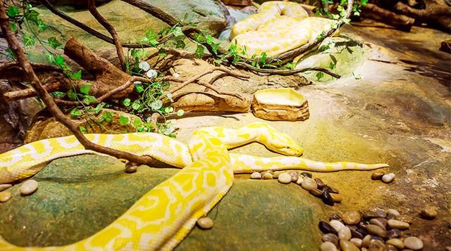 广州珠海长隆两地攻略,广州长隆欢乐世界亲子游游玩攻略