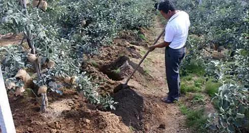 买的有机肥料为啥不溶水,为什么有的肥料很难溶