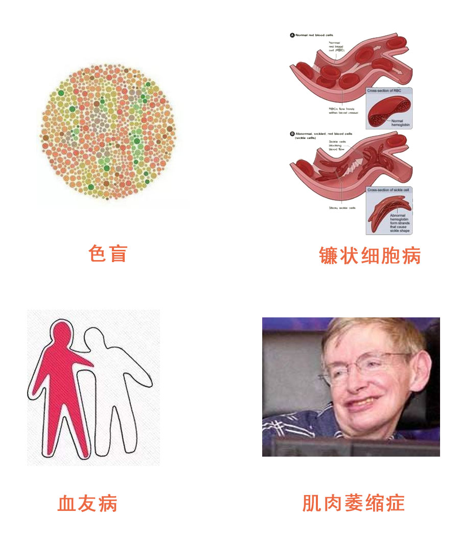 如果基因被破解会有什么后果,人类基因被破解的危害