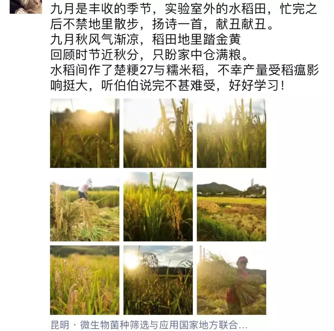 农大毕业怎么找工作,农大毕业现状