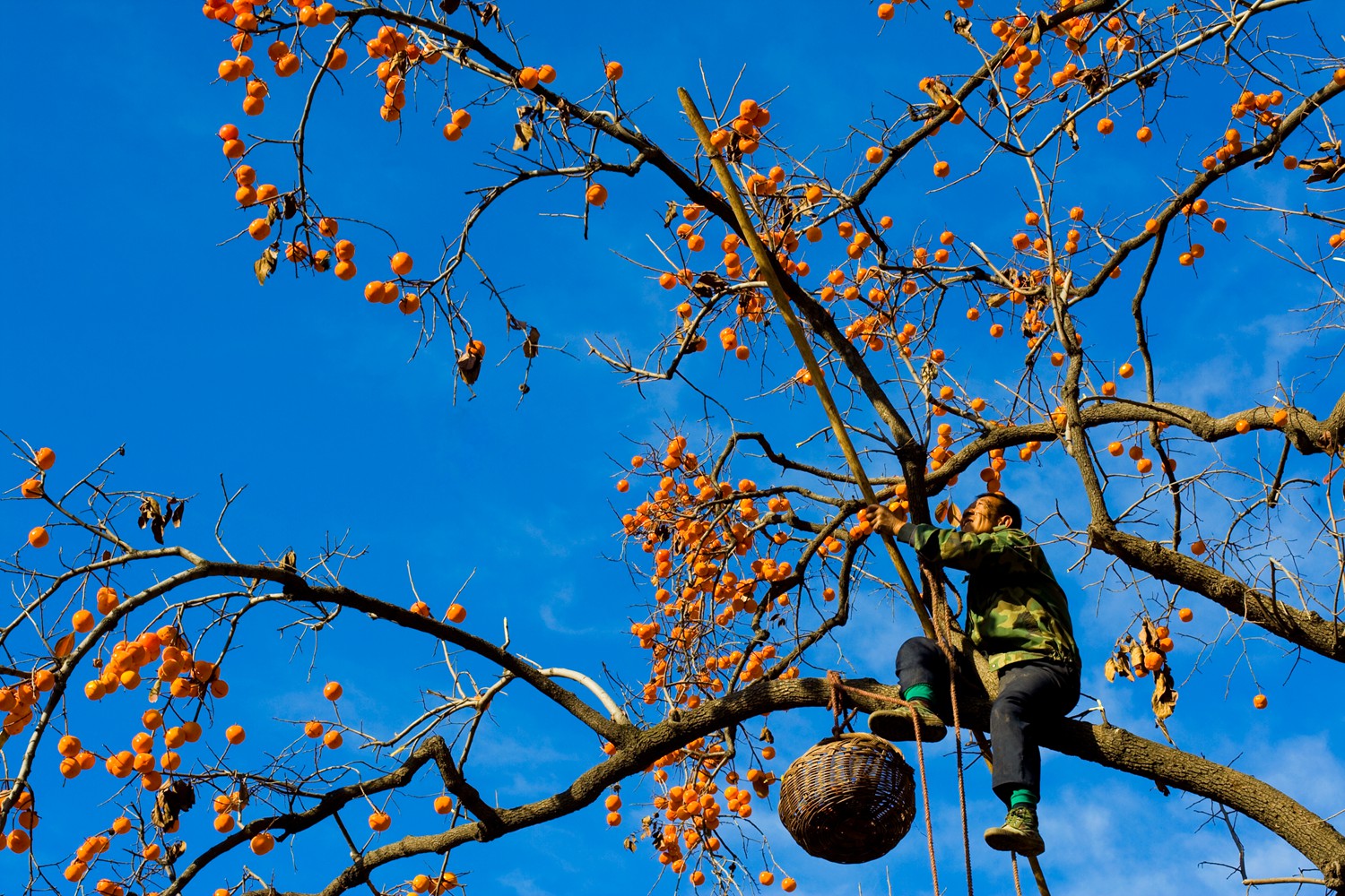 丰收快乐节,农民丰收节唱出丰收喜悦