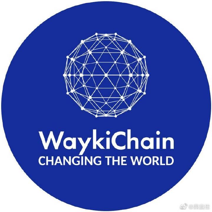 公链之王,公链未来的趋势