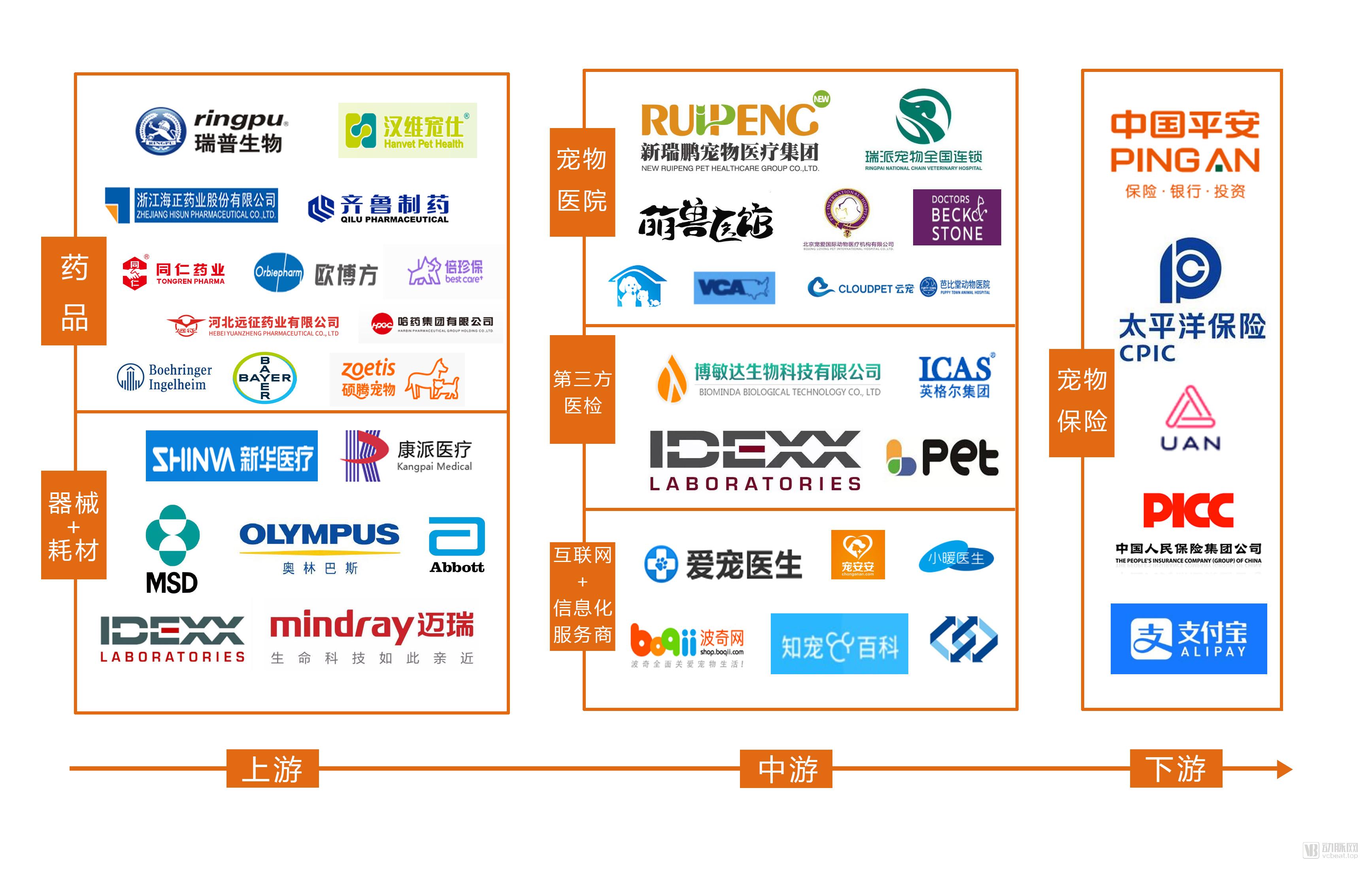 高瓴重仓近五年,腾讯、碧桂园携手入局,宠物医疗迎来拐点时刻?