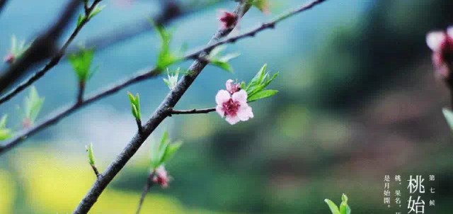 衰老的皮肤从缺水开始,干涸的水塘