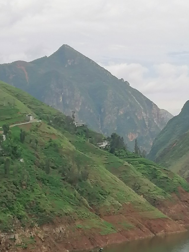 中国诗歌杂志2024年4期目录,中国诗歌周刊第185期