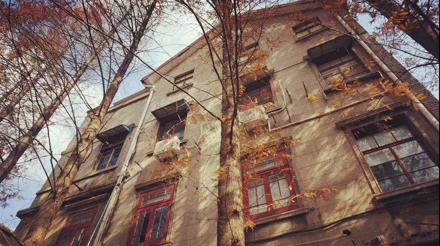 趣办空间|临窗观草木,*情纵**山水间:趣办@长乐路