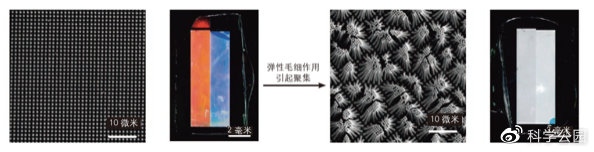 头发粘在一起是怎么回事,为什么头发会粘在一起