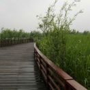 简方达灵魂伴侣,84岁简方达爱情观