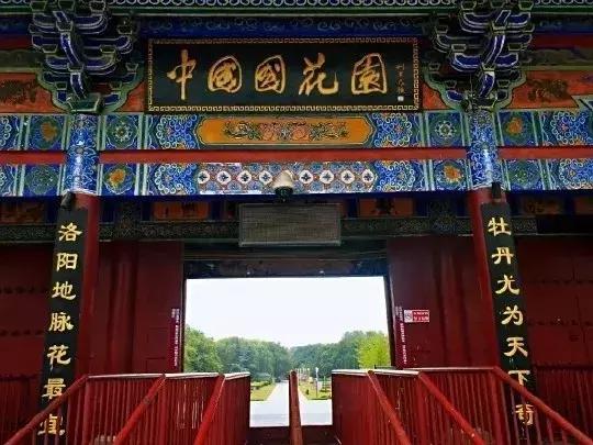 洛阳鹰嘴山沿黄公路自驾游攻略,洛阳旅游景点攻略最值得去的地方