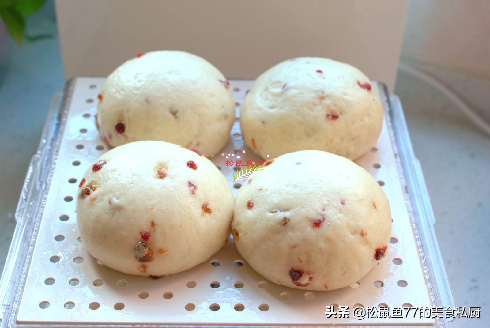 2杯酸奶1个鸡蛋1个火腿,1杯酸奶