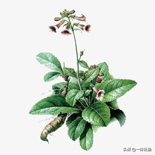 五种失眠的最佳治疗方法,失眠睡不沉的中医辨证