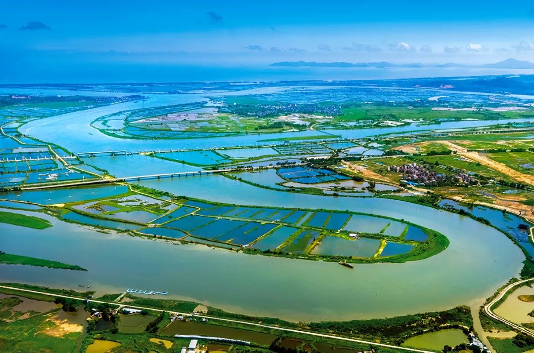 珠三角以西，漠*江阳**金三角茁壮生长