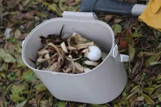 堆肥土制作有机液肥最简单的方法,自制堆肥和有机肥有什么区别