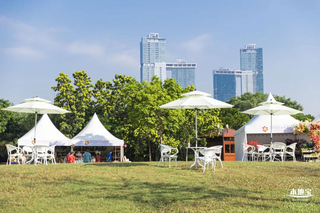 在深圳福田的生活,生活在深圳是一种幸福