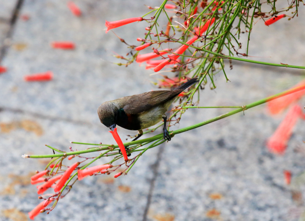 三亚亚龙湾风水,三亚风水最好的地方在哪里