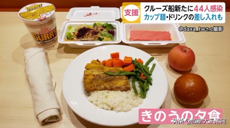 日本钻石公主号什么情况,钻石公主号简介国籍