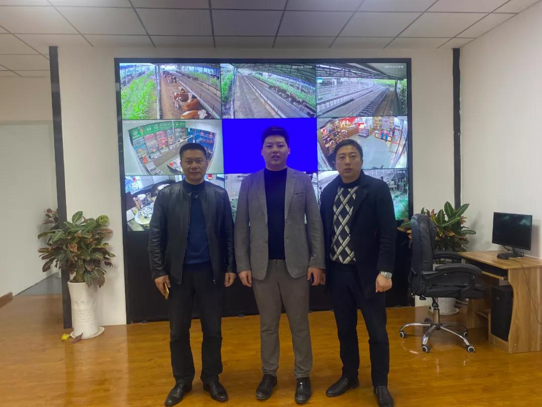 绛犵墰,绛犵墰闆嗗洟涓婂競