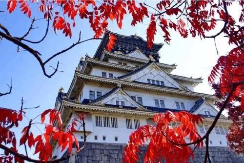 格致良品-赏美景、品美食3月5日「和牛之夜」活动即将开启