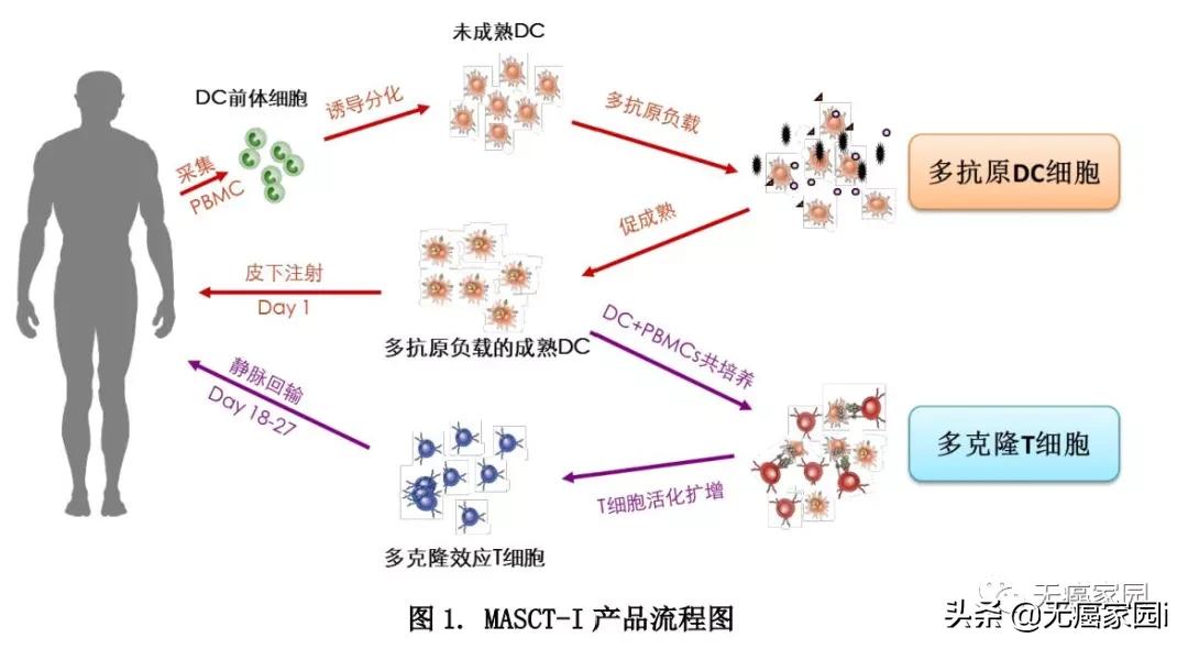 小癌种也有新型细胞疗法！尿路上皮癌患者解决难言之隐也有新选择