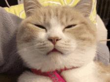 上海晚上十大必去免费景点,上海旅游景点免费攻略必去景点