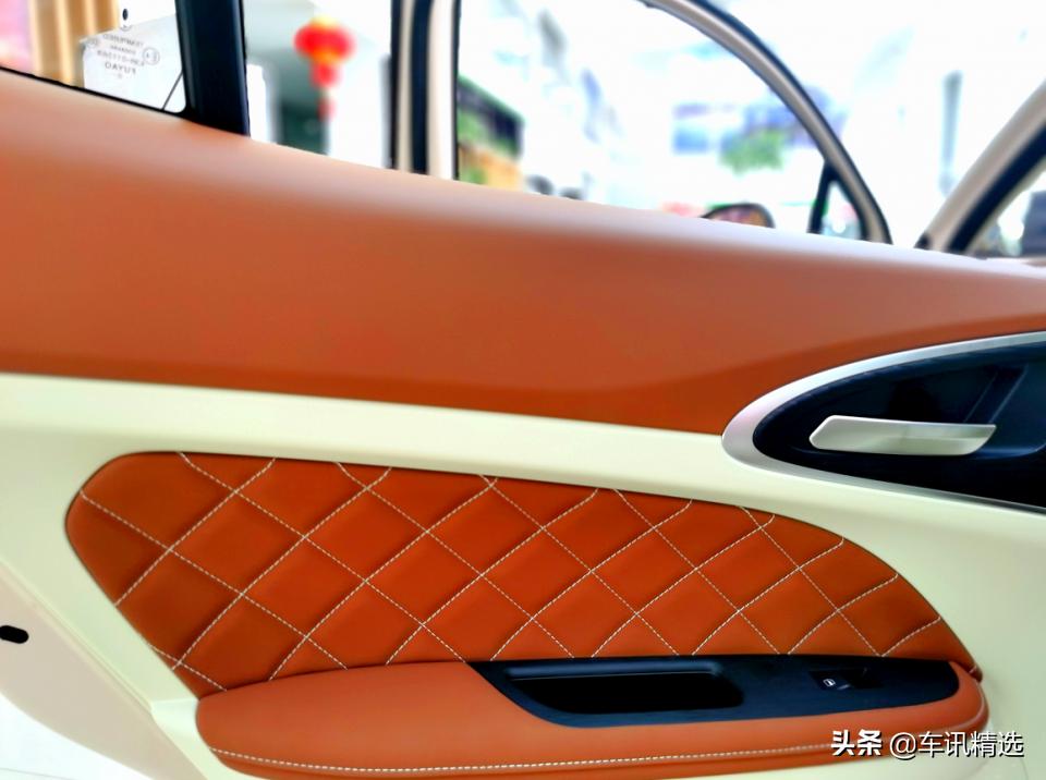 这有一只“好猫”登陆厦门，欢迎来“撸”