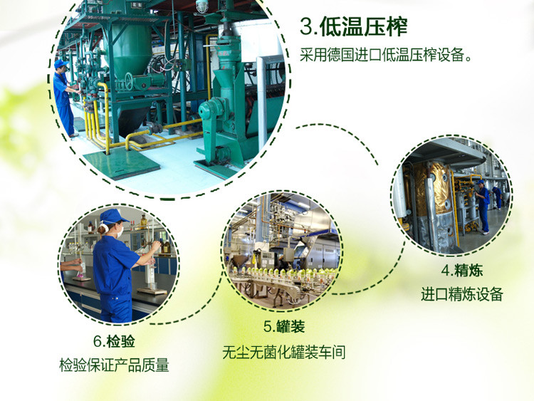 核桃油营养,核桃油怎么吃更有营养