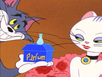 二十年后的汤姆猫,许多年后汤姆猫