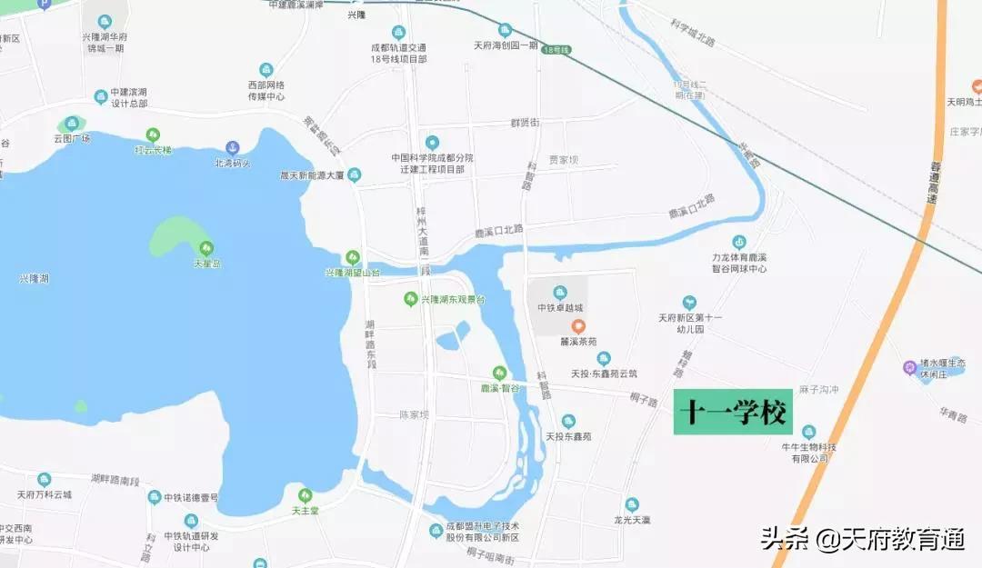 天府新区教育发展,天府新区天府学校