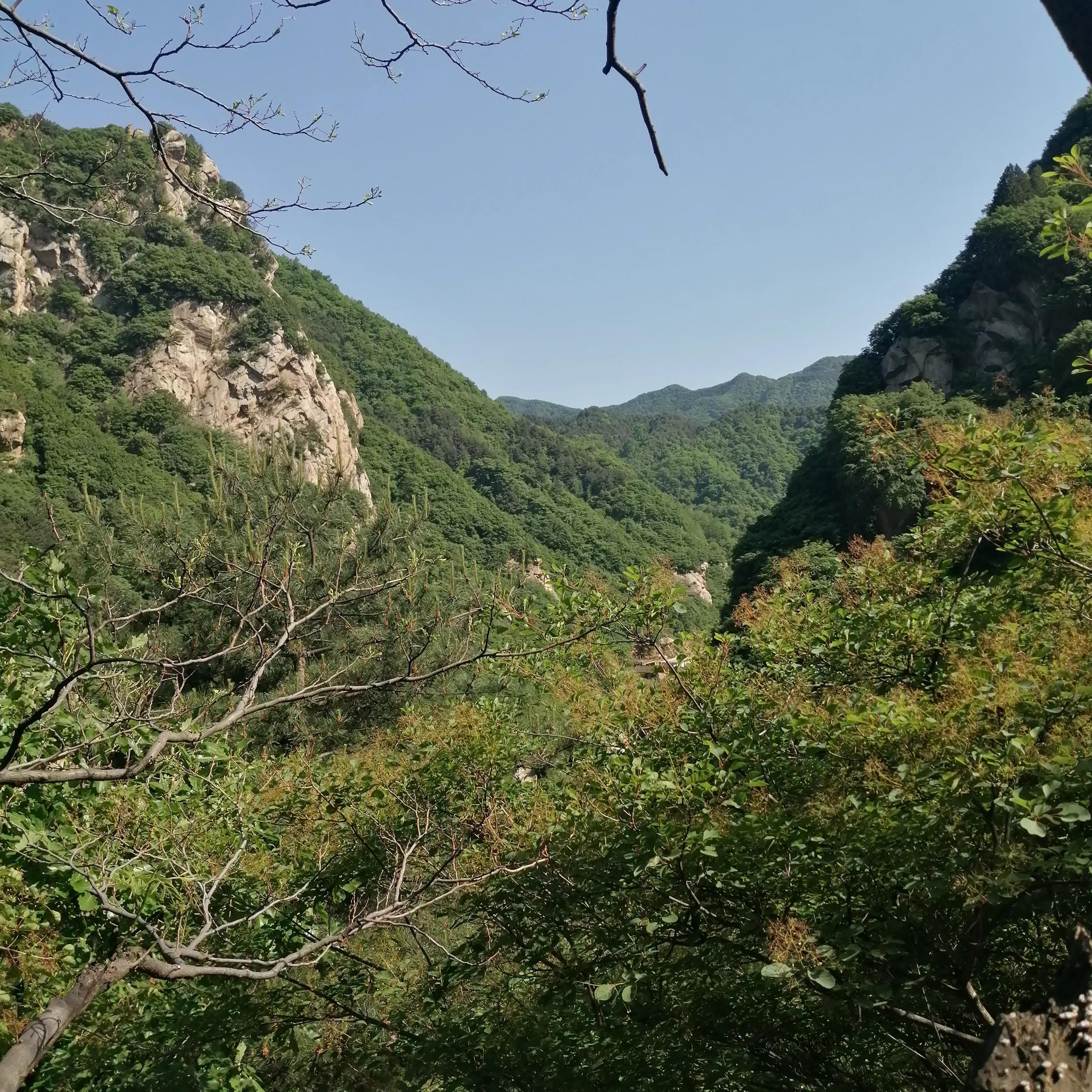 打卡莲花山森林公园,爬莲花山森林公园几个小时