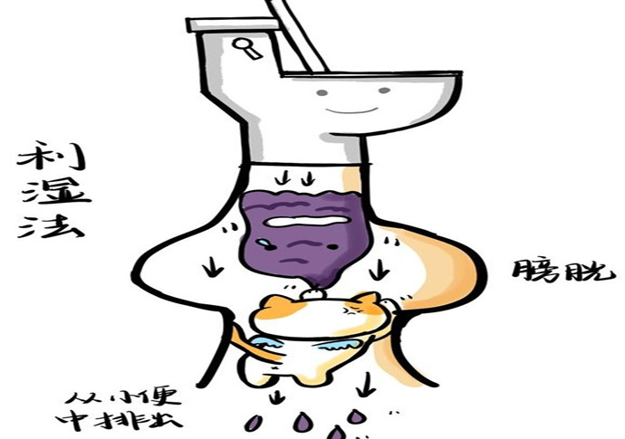 湿气治不除根,湿气怎么才不会犯