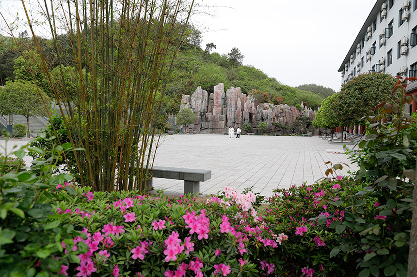 云在青山月在天原文,云在青天月在天深度解释