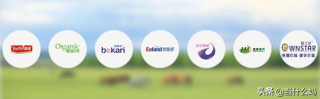 有机奶粉和非有机奶粉的区别,国产奶粉真的那么好吗