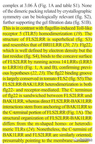 英文文献阅读概括技巧,快速阅读和总结英文文献神器