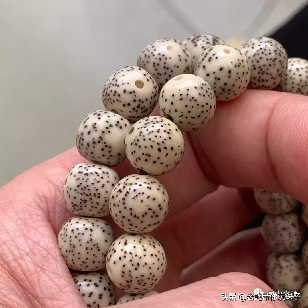 星月菩提咬手怎么办,菩提星月咬手