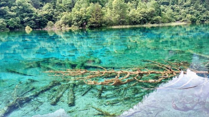 携程10万积分,携程千人千面排序规则