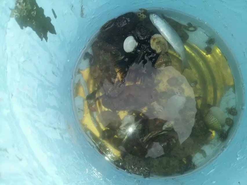 带着孙女去海边,奶奶带着小孙女在北海涠洲岛玩