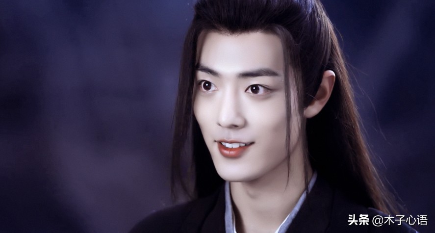 陈情令超好听的句子,陈情令人生无憾